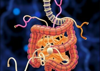Active Learning Aids Design of Fiber Gut Microbiome Interactions