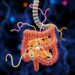 Active Learning Aids Design of Fiber Gut Microbiome Interactions