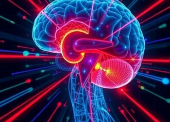 Active vision tied to individual brain’s category selectivity