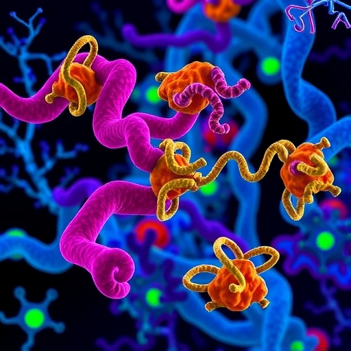 Adaptor proteins found to be crucial regulators of tumor-associated macrophages