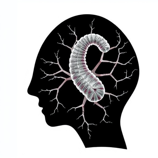 Advances and Challenges in Placenta Models for HIV-1, ART, and Nicotine Research
