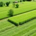 Agri-environmental Policies Boost Cropland Quality Globally