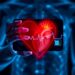 AI-Guided Handheld Cardiac Ultrasound Promises Early Detection and Cost Savings