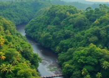Amazon Rainforest Waterways: Major but Underestimated Methane Sources
