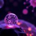 Atoco Inc. Launches Reticular Science Prize for Emerging Scholars and Innovators
