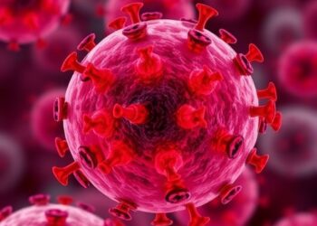 B cell CD19 is transferred between immune cells in mice and humans
