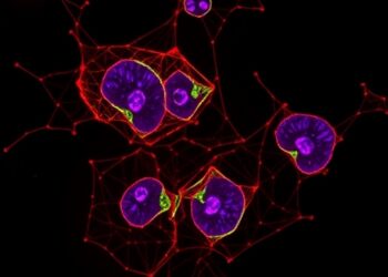 BET inhibition reveals glycolytic vulnerability via HIF1α in triple-negative breast cancer