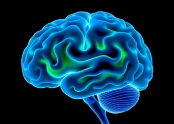 Biological Causes of Different Cortical Abnormalities in Psychiatric Disorders