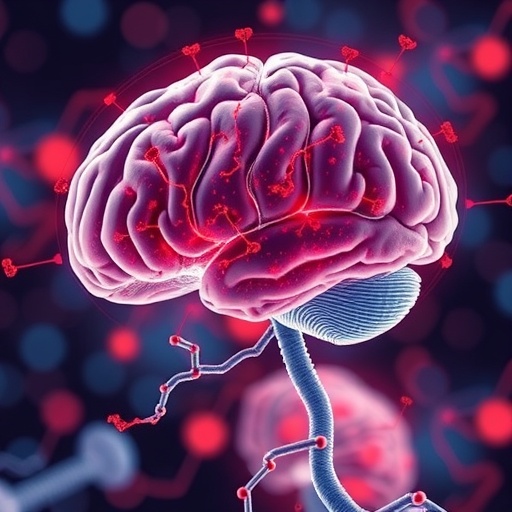 Boosting the Brain’s Natural Repair Mechanism for Stroke Recovery