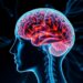 Brain circuits could explain cognitive symptoms in progressive supranuclear palsy