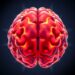 Brain regions differently control food intake following GIPR agonist or antagonist treatment