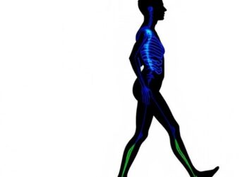 Brain’s Role in Linking Obesity to Gait Abnormalities Explored