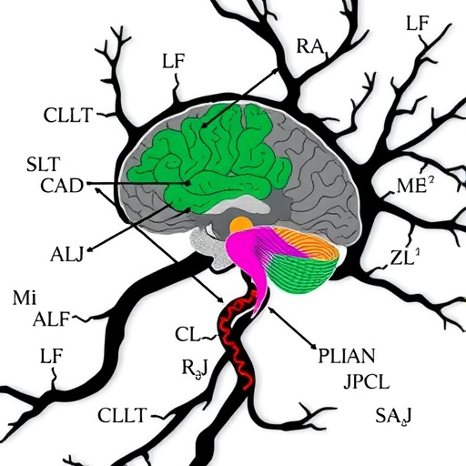 Calcineurin/NFAT Pathway Links Calcium Stress to Neurodegeneration Timing