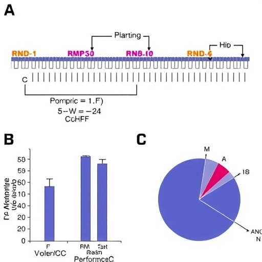 CCHFV Polymerase Enables RNA Synthesis and Shows Substrate Analog Inhibition