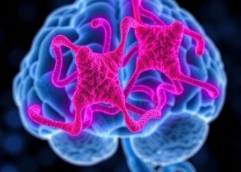 CD33 and Clusterin Physically and Genetically Interact to Shape Alzheimer Risk