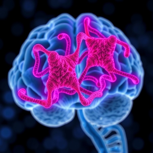 CD33 and Clusterin Physically and Genetically Interact to Shape Alzheimer Risk