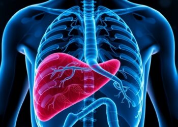 CD8⁺ TRM–chemokine axis drives liver fibrosis, reveals biomarkers in chronic Clonorchis infection