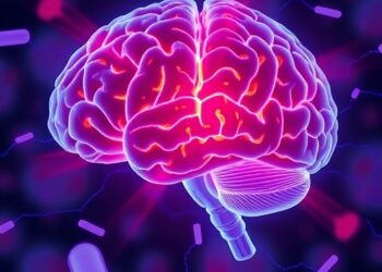 Cellular Signaling Mechanisms Controlling the Blood-Brain Barrier