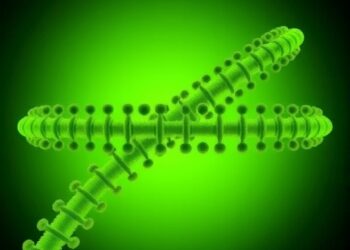 Chlamydomonas chlororibosome reshaped by chloroplast-encoded small subunit extensions