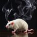 Cigarette Smoke Exposure Alters Gut Microbiome and Damages Short-Chain Fatty Acid Metabolism in Rats