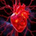 CircTMCC1 drives heart attack severity via mitochondrial damage and macrophage shift