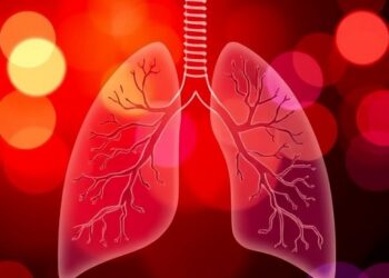 Clarifying Causal and Translational Inference in Ambient PM2.5 Lung Cancer Studies