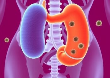 Combined phage therapy and faecal microbiota transplantation to treat recurrent urinary tract infection: a case series