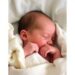 Complement deficiency and neonatal immunity: a serum-limited, context-dependent framework