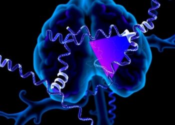 Conformations of Neuronal Na+, K+-ATPase Isoforms and a Disease-Causing Variant