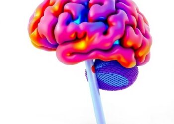 Cortical hierarchy shows rarely categorical yet highly separable representations