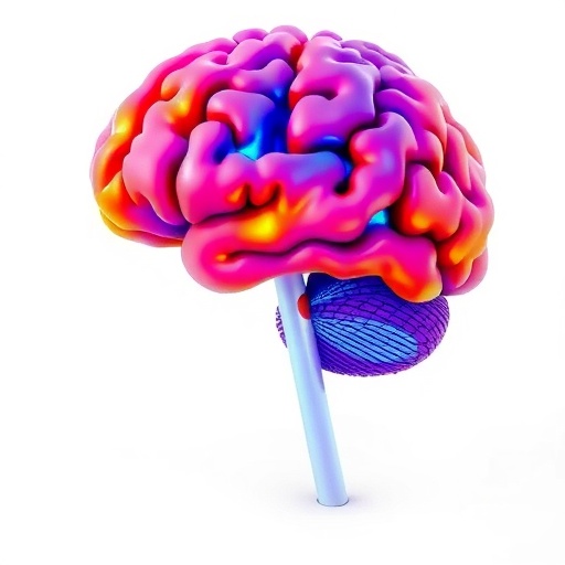 Cortical hierarchy shows rarely categorical yet highly separable representations