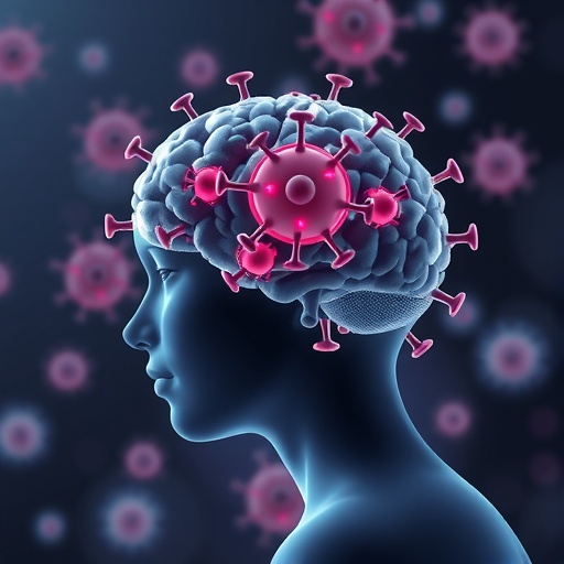 COVID-19 fatigue linked to hippocampal immune and metabolic changes