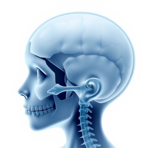 Craniosynostosis poses developmental risks beyond the skull, study finds