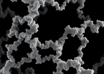 Cryo-EM Reveals Biopsy-Derived TTR Fibril Structures in Hereditary Amyloidosis