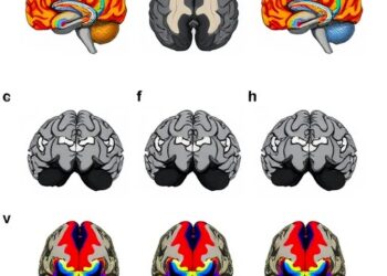 Disrupted cerebellar-thalamocortical connections across risk stages in first-episode psychosis