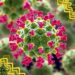 Diverse bacterial pattern recognition receptors sense the core phage proteome