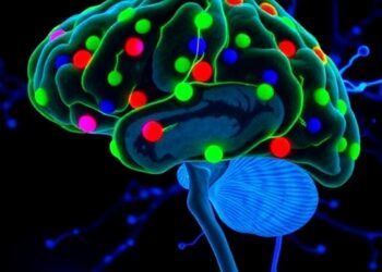 DRD1-MSNs Hyperactivity in Striatum Causes Repetitive Behaviors in Cry1Δ11 Mutation