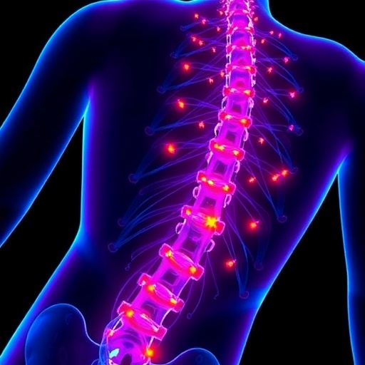Dresden Researchers Uncover How Helpful Immune Cells Aid Spinal Cord Regeneration