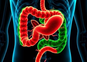 Drug candidate shields gut to treat severe fatty liver in animal models