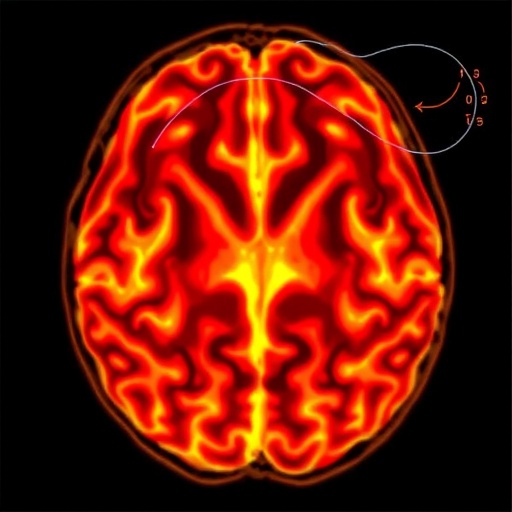 Dual-Frequency Photoacoustic CT Reveals Clear Whole Brain, Centimeters Deep