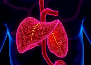 Durable liver gene therapy treats methylmalonic acidemia in preclinical models