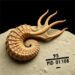 Early Cambrian fossil discovery sheds light on early cephalopod origin and evolution