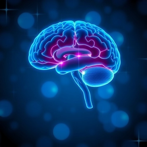 Early pregnancy’s first trimester may fuel human brain evolution