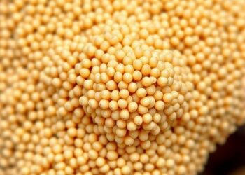 Effect of a complementary feeding intervention based on iron- and zinc-biofortified pearl millet on the gut microbiota in 12–18-month-old children: a randomized trial