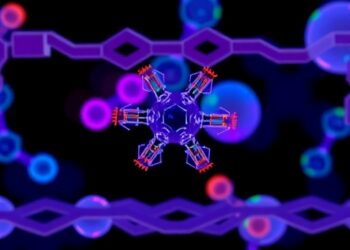 Enantioselective Biosensors Guide the Evolution of Asymmetric Biocatalysts