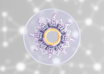 Encellin’s diabetes implant shows non-fibrotic engraftment in phase 1