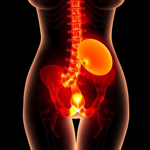Endometriosis Shows Symptom Patterns Extending Far Beyond Pain