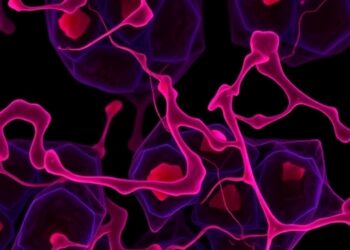 Endothelial CB1 receptor loss cuts arterial inflammation and lipid uptake