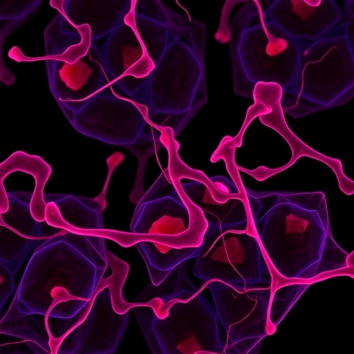 Endothelial CB1 receptor loss cuts arterial inflammation and lipid uptake