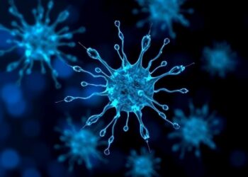 Epitope Editing Enables Safe Transplantation and In Vivo Cell Selection